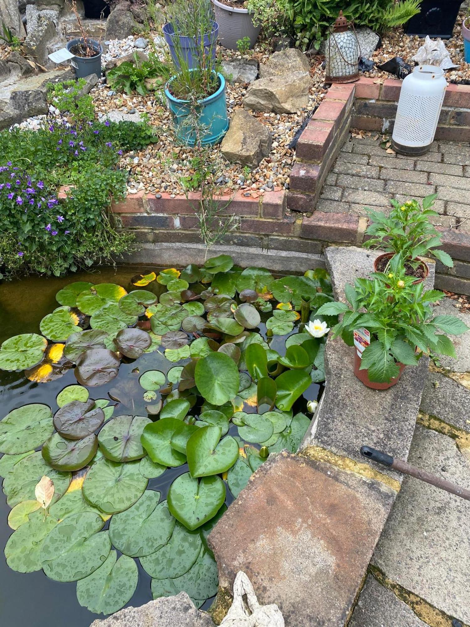 Pond Cottage Purley Exterior photo